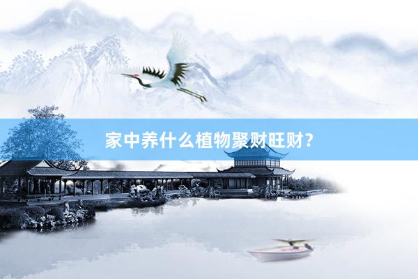 家中养什么植物聚财旺财？